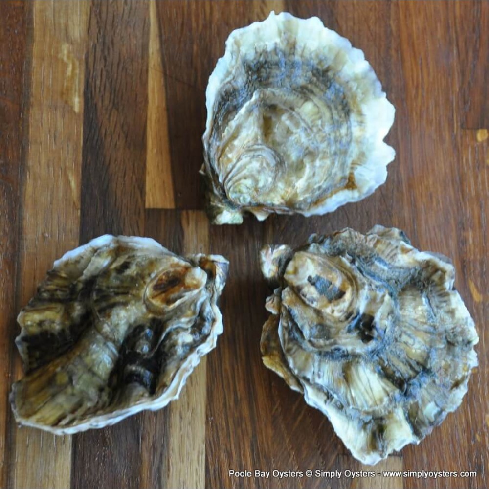 Poole Bay Oysters Buy Online UK Delivery Simply Oysters